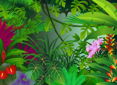 Tropical forest background clipart