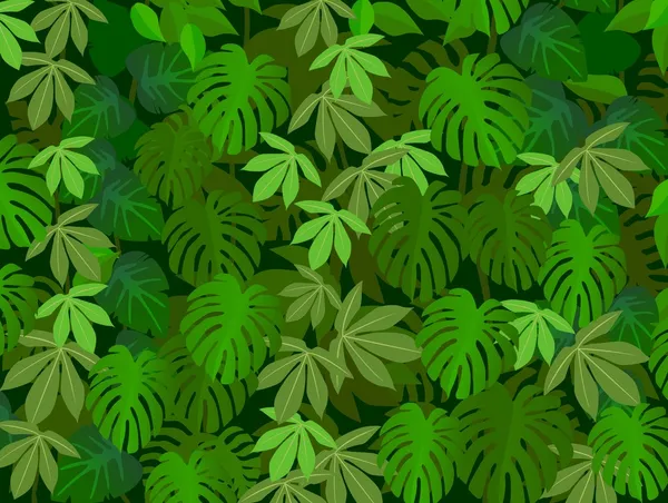 热带森林背景 — 图库矢量图片