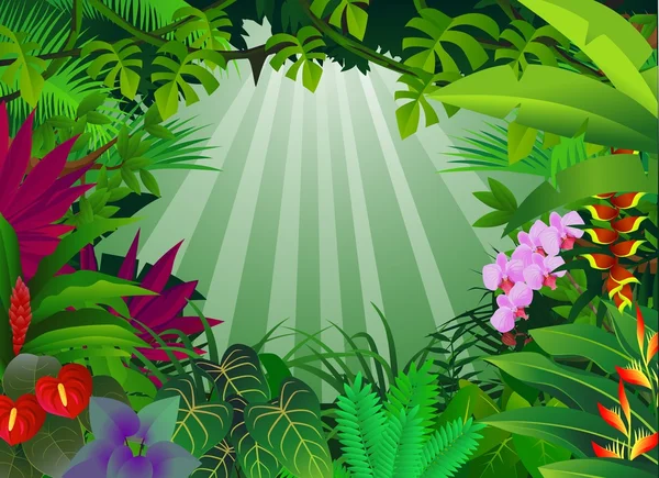 Tropische bosachtergrond — Stockvector