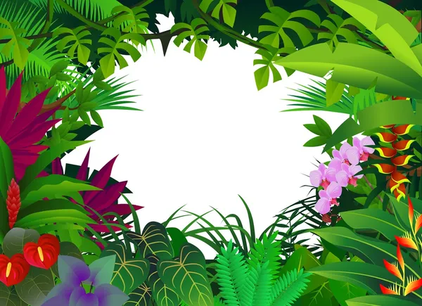 Tropisk skog bakgrund — Stock vektor