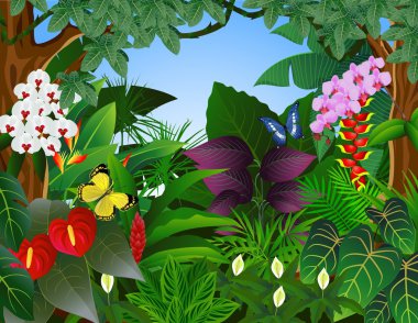 Tropical forest background clipart