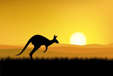 Kangaroo in the nature clipart