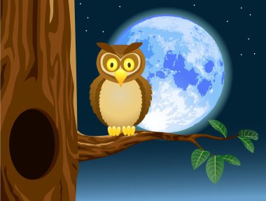 Owl cartoon clipart