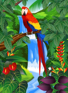 Macaw bid in the beautiful forest clipart