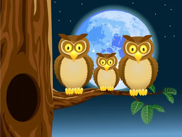 Owl family — Stock Vector