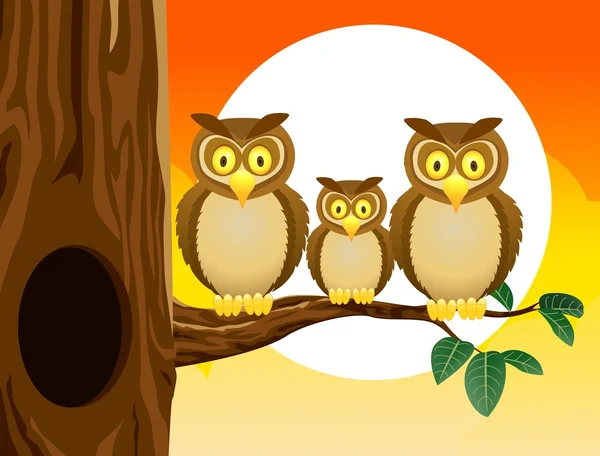 Owl family with sunset background — Stock Vector