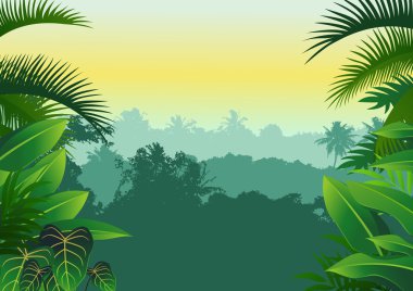Tropical forest clipart