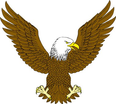 Eagle vector clipart