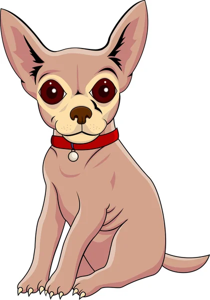 Chihuahua karikatür — Stok Vektör