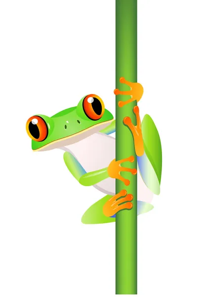 Funny Frog cartoon — Stock Vector
