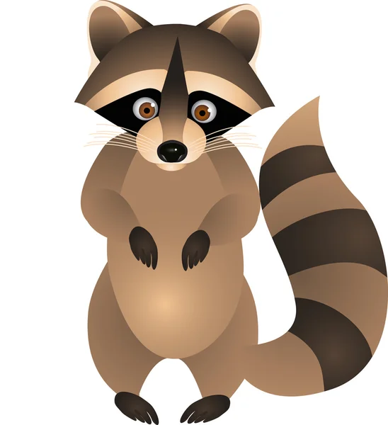 Raccoon Cartoon — Stock Vector