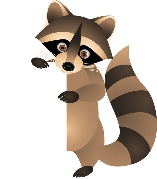 Raccoon With Blank Sign — Stock Vector