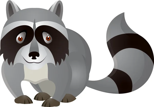 Raccoon Cartoon — Stock Vector