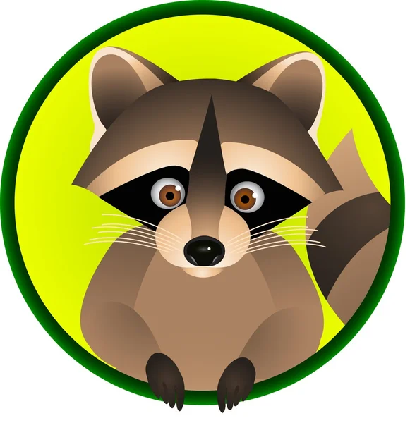 Raccoon Cartoon — Stock Vector
