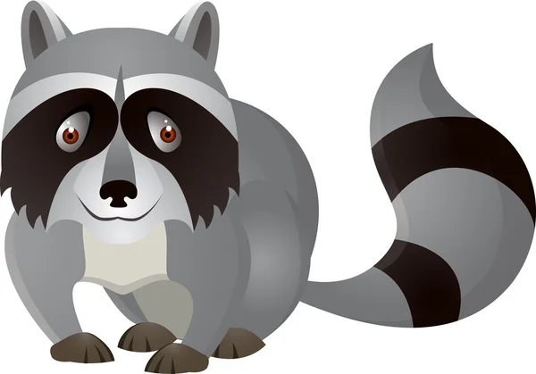 Raccoon cartoon Vector Art Stock Images | Depositphotos
