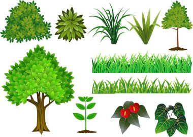 Plant and tree collection clipart