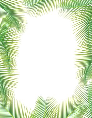 Leaves of palm tree on white clipart