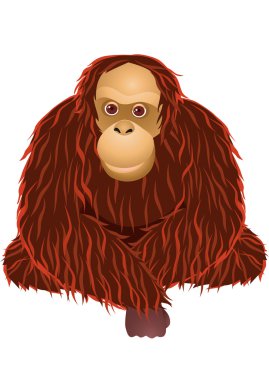Orangutan cartoon clipart