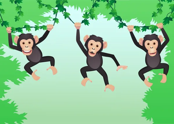 Karikatur eines Schimpansen — Stockvektor