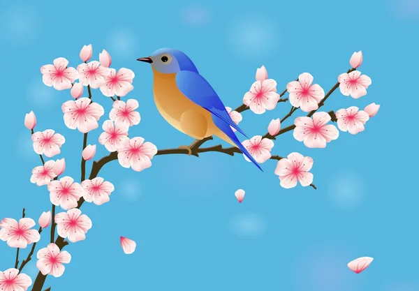 Background with blossom and bird — Stock Vector