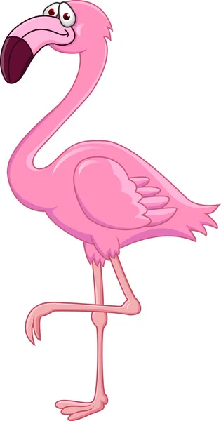 Flamingo Cartoon — Stockvector