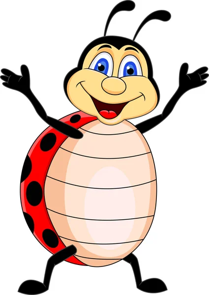 Cartone animato divertente Lady bug — Vettoriale Stock