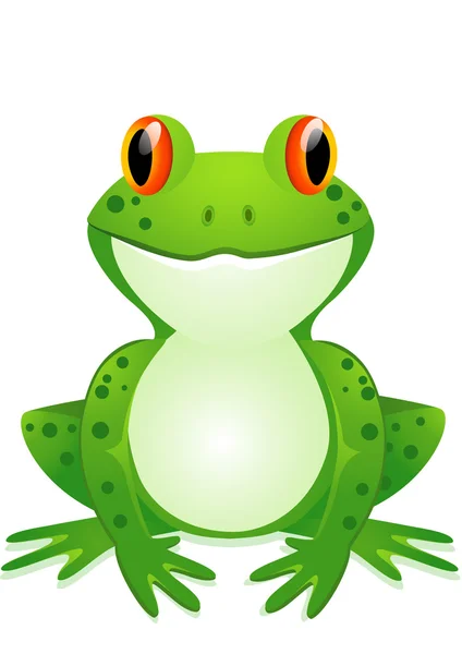 Funny toad cartoon — Stock Vector