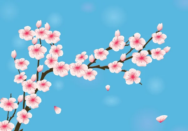桜 — ストックベクタ
