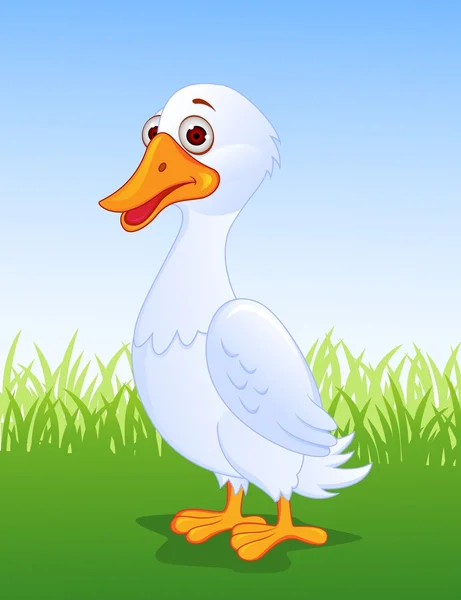 Duck Cartoon — Stock Vector