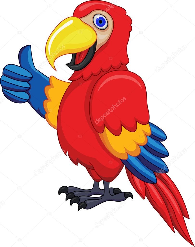 Parrot With Blank Sign