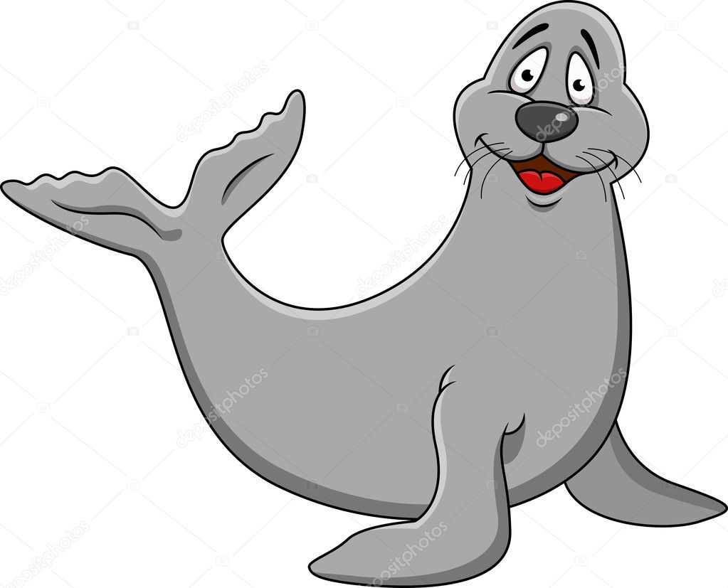 Funny Seal Cartoon —