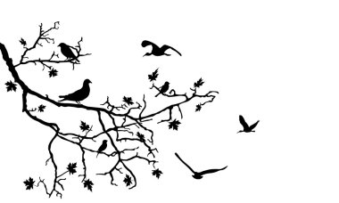 Birds on branch clipart