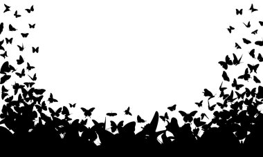 Butterflies clipart