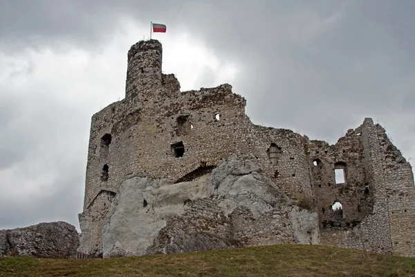Ruined medieval castle with tower in Mirow — Stock Photo, Image