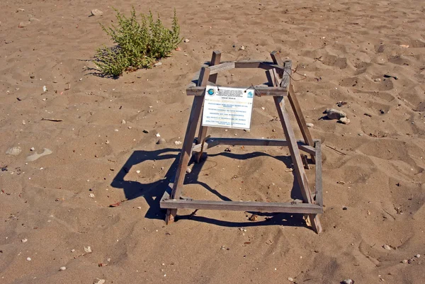 Nido de tortugas en la playa de Dafne en la isla de Zakynthos — Foto de Stock