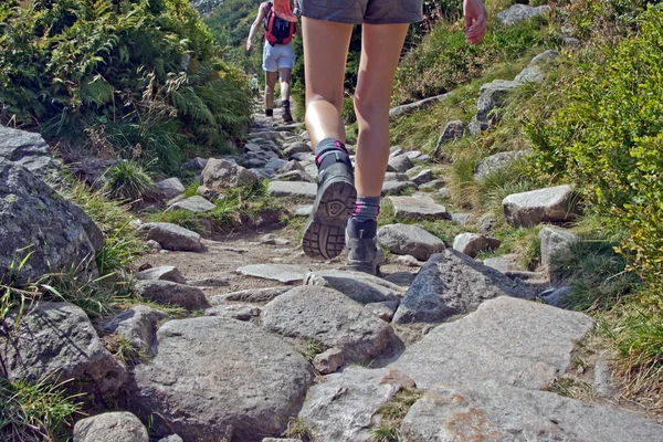 Shoes on trail walking in mountains — Stock Photo, Image