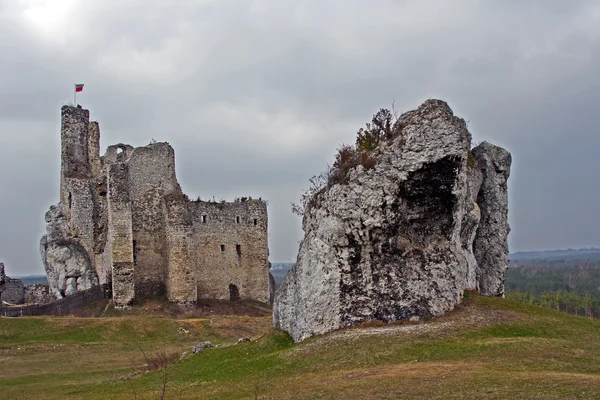 Ruined medieval castle with tower in Mirow — Stock Photo, Image