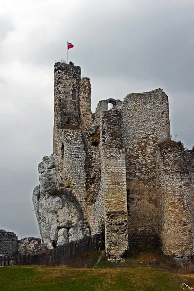 Castillo medieval en ruinas con torre en Mirow —  Fotos de Stock