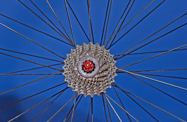Wheel of road bicycle — Stock Photo, Image