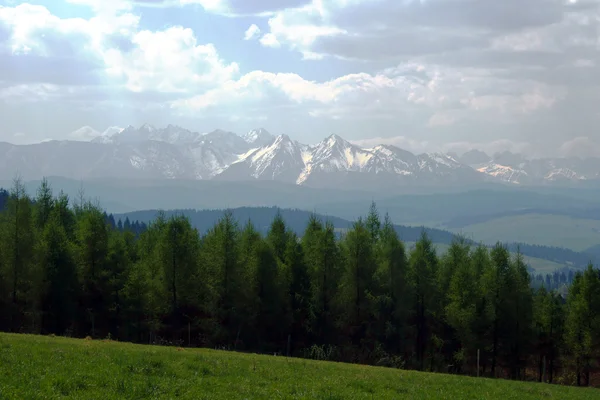 Карпатские горы весной — стоковое фото