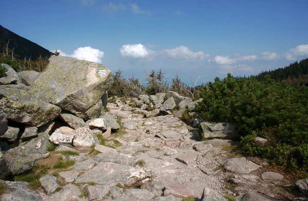 Trail i karkonosze-bergen — Stockfoto