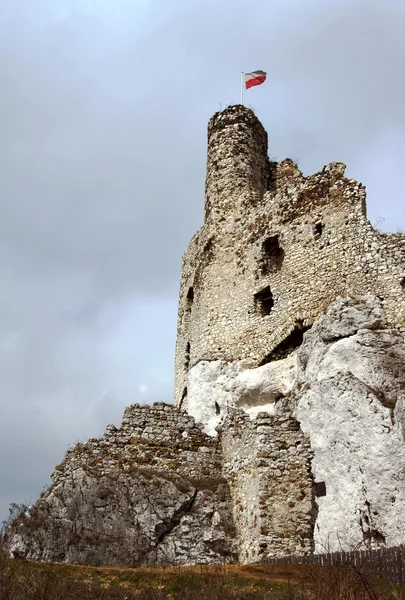Castillo medieval en ruinas con torre en Mirow — Foto de Stock