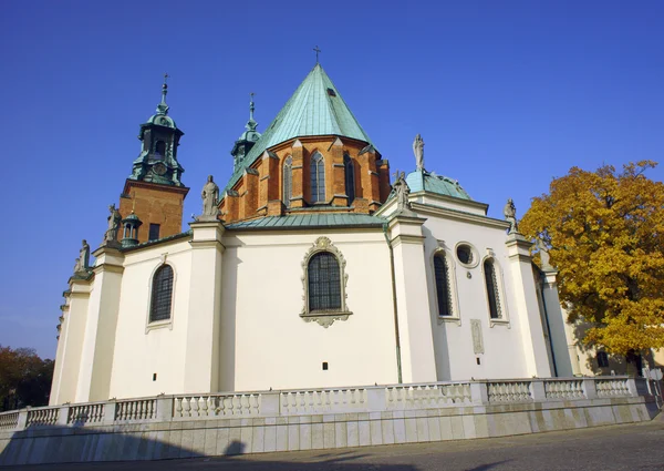 Архікатедральному Соборі Св базиліки в місті Gniezno — стокове фото