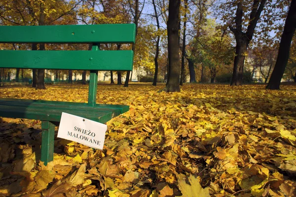 Banco de parque pintado no outono — Fotografia de Stock