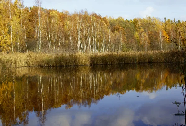 湖泊和森林在秋天 — 图库照片