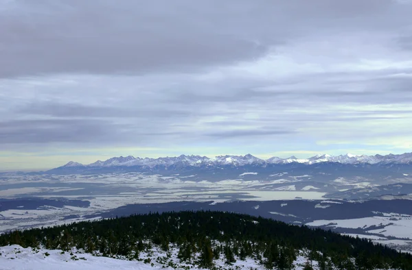 stock image Mountains at winter