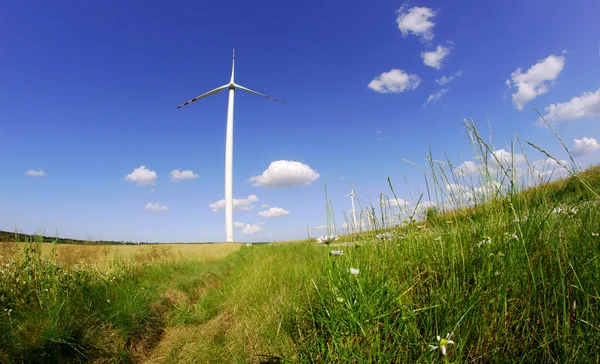 Turbines in wind farm — Stock Photo, Image