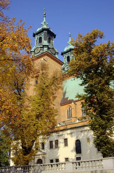 Cathédrale Basilique de Gniezno — Photo