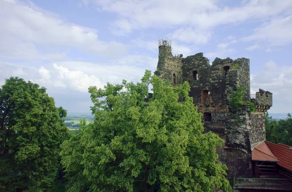 Zamek z Bastylii — Zdjęcie stockowe