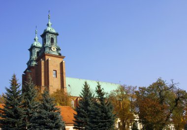 gniezno archicathedral Bazilikası